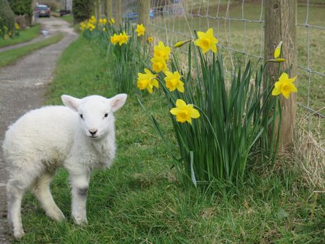 1356d3bb2e2e1249677e1059ca1314ec