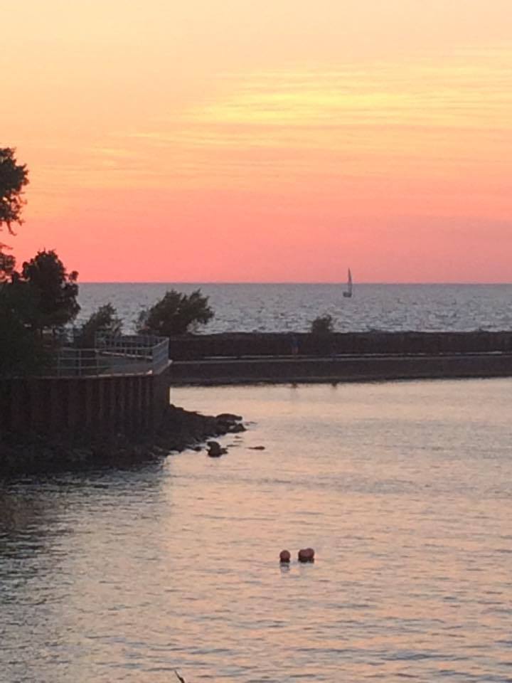 14040063_498863513657216_39222928488078440_n