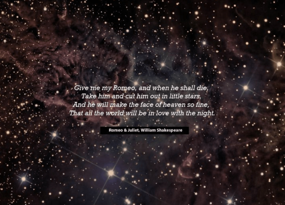 screen-shot-2016-12-14-at-12-02-44-pm